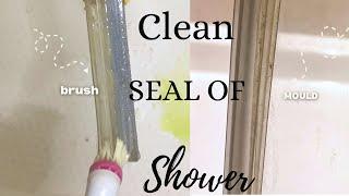 HOW TO CLEAN THE SHOWER SCREEN  SEAL | SHOWER SCREEN DEEP CLEAN