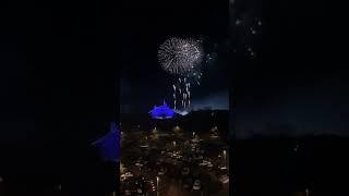 Disney’s Enchantment finale from Bay Lake Tower # #orlandoparksguy #shorts