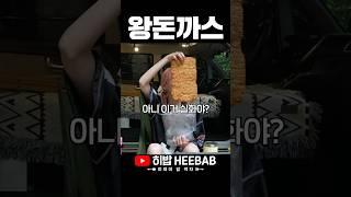 이게 위에 다 들어가...? 뒤집기도 벅찬 몸 만한 자이언트 왕돈까스ㄷㄷ