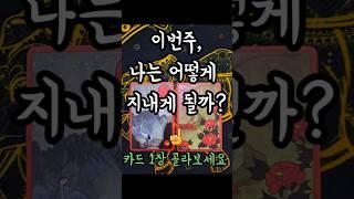 #타로운세 이번주, 나는 어떻게 지내게 될까? #주간운세