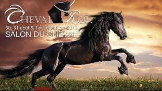 Salon Cheval Roi 2015