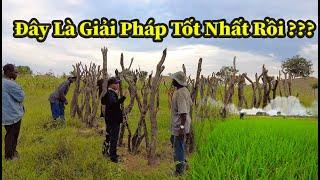 Quang Dũng || Đã Tìm Ra Giải Pháp Khắc Phục Thay Thế Một Phần Phân Bón Hoá Học Vốn Đắt Đỏ Ở Châu Phi