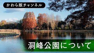 【つくば市かわら版チャンネル】洞峰公園について