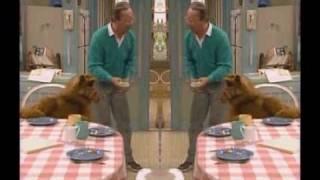 Youtube Poop: Everything's Coming Up Alf
