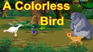 Colorless Bird | English Cartoon | Maha Catoon Tv English | Motivational Story