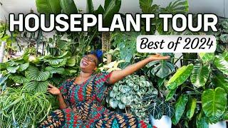 Houseplant Tour | My Favourite Plants of 2024