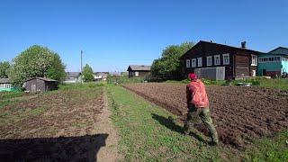 Работа на огороде. Вспахали грядку. Скоро будем сажать картошку. Будни Олега.