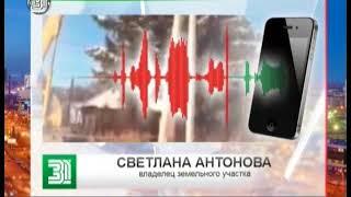 60-летнюю ель без разрешения срубили на частном участке в Челябинской области