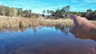 Water Level & Grass Update!! (Week 2) @ The ULTIMATE 10 Acre Private Fishing Hole PROJECT!!