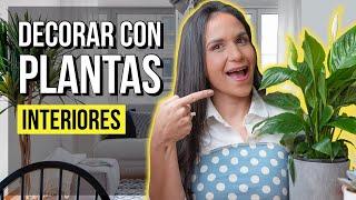 MEJORES PLANTAS de INTERIOR para DECORAR tu HOGAR!