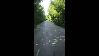 Road to the Dream