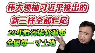 翟山鹰：伟大领袖习近平推出的新三样全部烂尾！20年后污染将遍布全国每一寸土地！