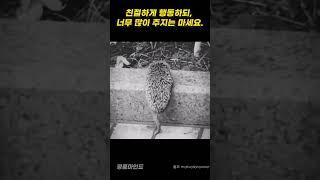 친절하게 행동하되, 너무 많이 주지는 마세요 #명품마인드 #automobile #동기