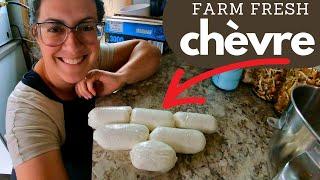 EASIEST Homemade Chevre Cheese (Raw Milk & Pasteurized Options)