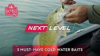 Cold Water Fishing: 3 Must-Have Baits for Winter Bass - @MarkZonaFishing [NEXT LEVEL]