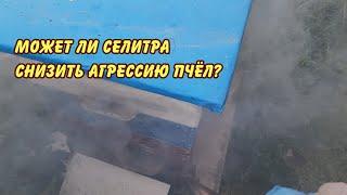 пчеловодство может ли селитра снизить агрессию пчел