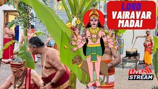 Lord Viraver Madai 2024|London Shivan Temple|