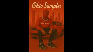 [FREE] Detroit x Ohio Sample Pack (Mg Sleepy, YN Jay, Rio Da Yung Og, BabyTron) "WELCOME TO OHIO"