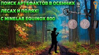 Поиск артефактов в осенних лесах и полях! C Minelab Equinox 800