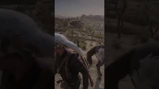 Red Dead 2 Online Head On Collision Acts of Kindness