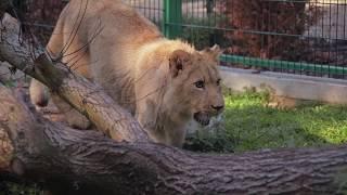 ZOO LEŚNE ZACISZE