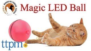 Magic LED-Ball from PetPals