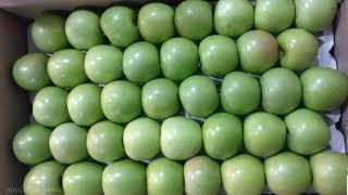 Granny Smith Apple Auction in Shimla Market | Today's Apple Market Update | Himalayanfarming