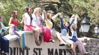 What Is There To Do At The Mount?