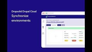 Dropsolid Drupal Cloud Demo 4 - Synchronize environments