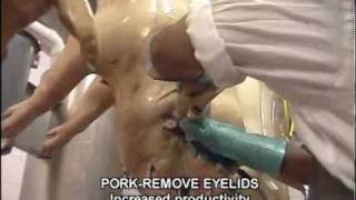 Pork Eyelids.wmv