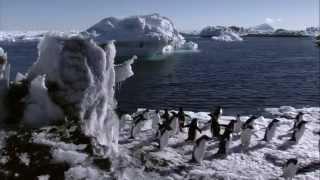 Under Antarctic Ice Documentary