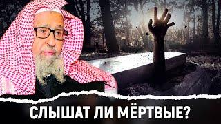 Слышат ли мёртвые? Шейх Фаузан