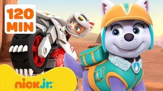 PAW Patrol: Überall außer Adventure Bay! mit Everest | 120 Minuten | Nick Jr. Deutschland