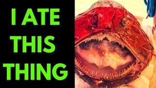 I can't believe I ate a Monkfish!