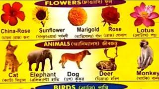 Bornoporichoy|||Flowers||Animals||Birds|||Episode#71