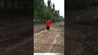 Underground metal detector field detection video