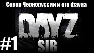 DayZSIB(Standalone): "Север Черноруссии и его фауна"