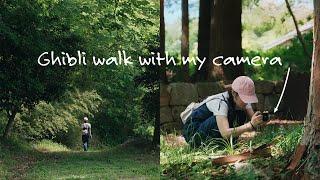 Wandering a Ghibli-Like Forest  | Suncheon with GR3x | Korea Travel