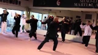 Elder Master Garry Mullins Hsing-I Training Recap - March 2014 @ Shaolin Center