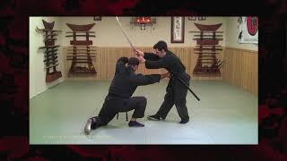 Samurai Sword Evasion Video from 7th Kyu of the Bujinkan Black Belt Course