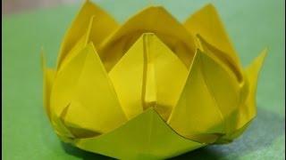 Step by step origami for beginners Water Lily (Lotus Flower)