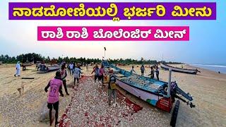 ನಾಡದೋಣಿಯಲ್ಲಿ ರಾಶಿ ರಾಶಿ ಬೊಲೆಂಜಿರ್ ಮೀನ್ | Boat Fishing in Guddekopla Surathkal