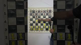 What is the Ruy Lopez Opening in Chess?