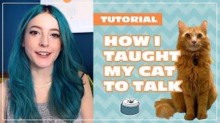 How I Taught My Cat to Talk | Beginner Tutorial