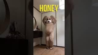 곰헝니