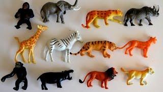 Lets Go to the ZOO-Kids Z Fun.lots of Animal toys,School Bus-Wild Life Learning Names n sounds