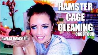 HAMSTER CAGE CLEANING AND CAGE TOUR | ANIMAL CAGE CLEANING