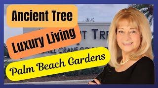 Discover the Luxurious Lifestyle of Ancient Tree in Palm Beach Gardens
