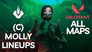 (C) Viper Molly Lineups 2024 for all Maps - Valorant