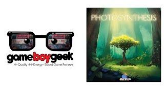 Photosynthesis Review with the Game Boy Geek